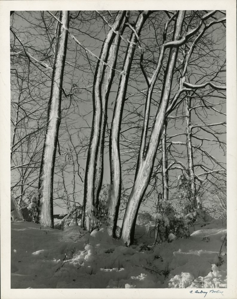 34-498 (click for large image)